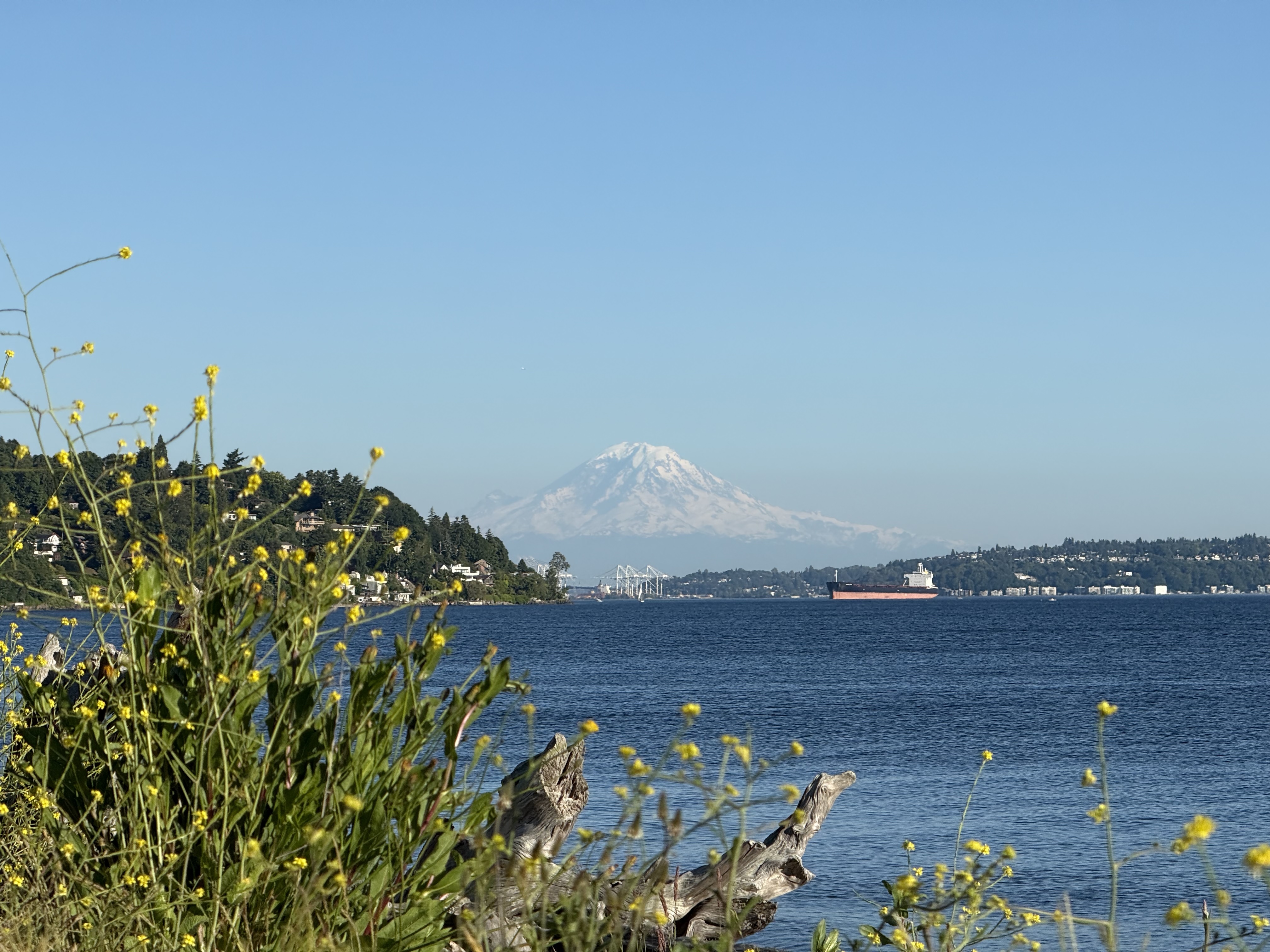 Mount Rainier