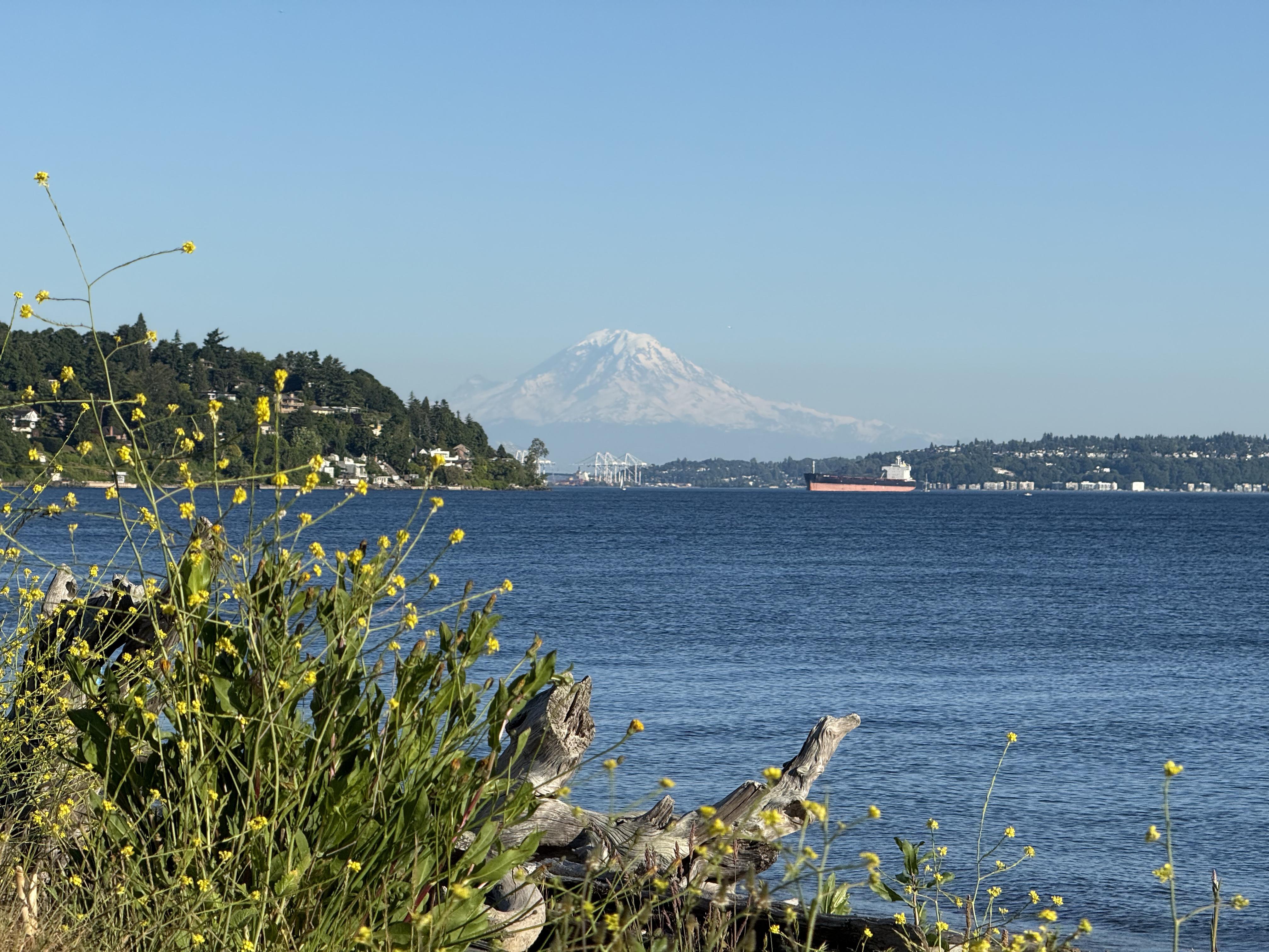 Discovery Park