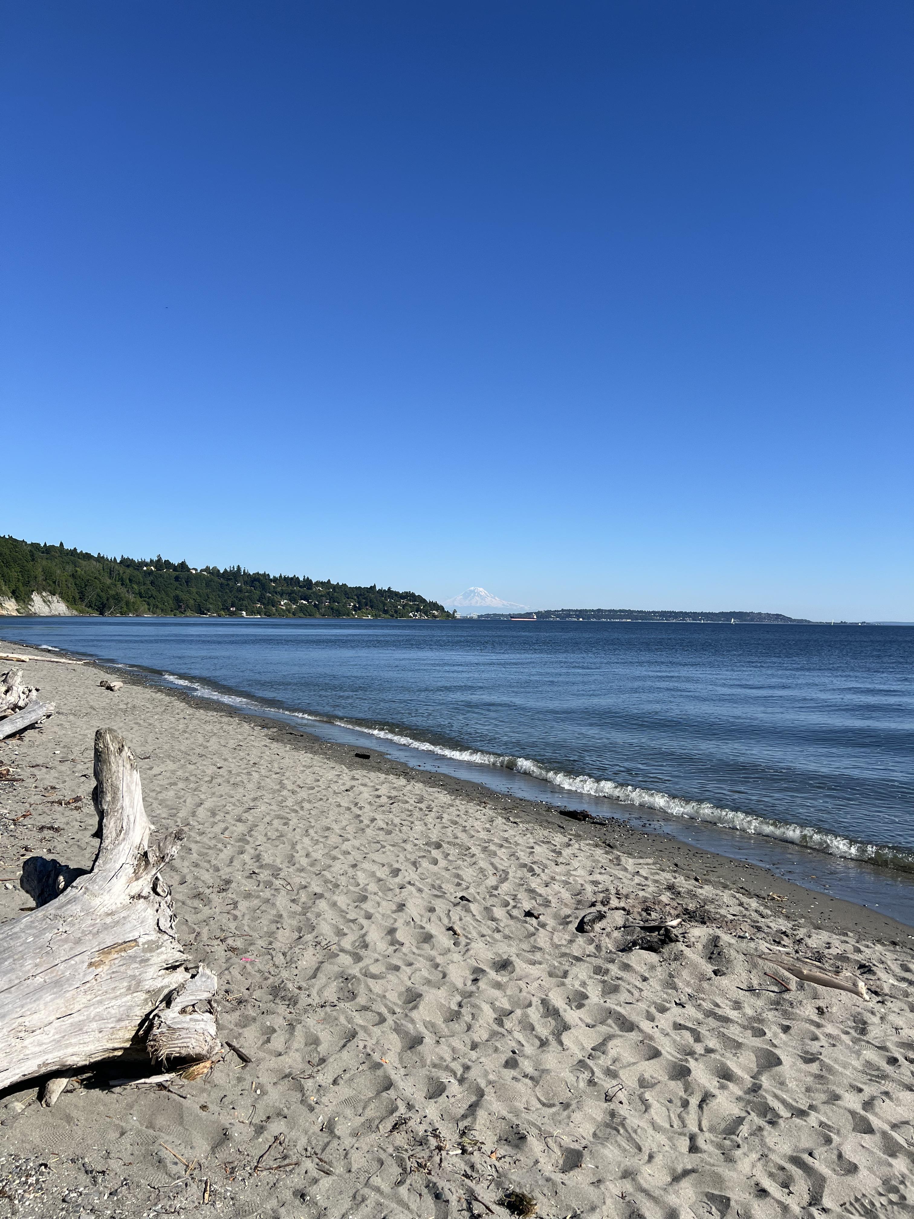 Discovery Park