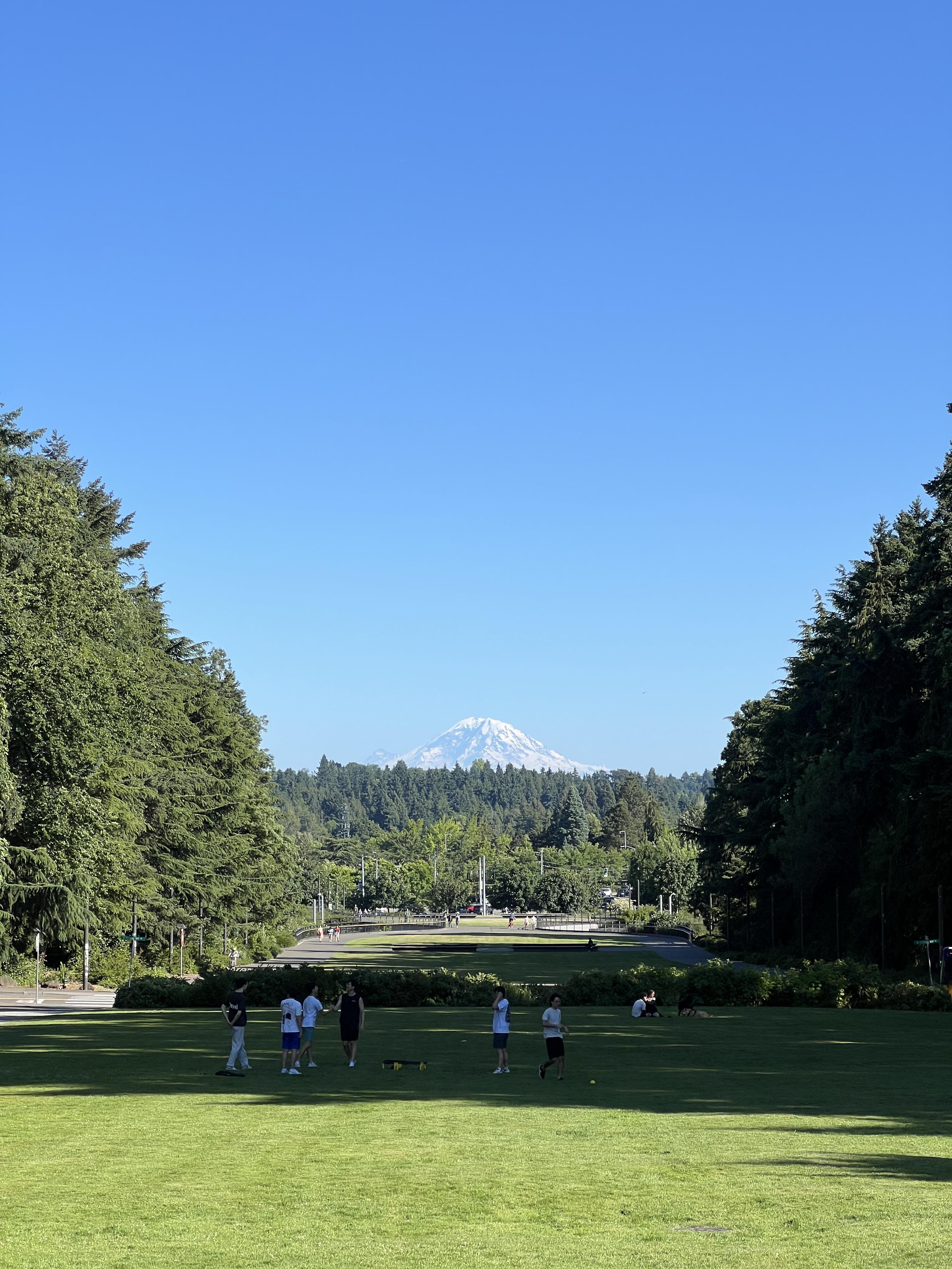 UW Rainier